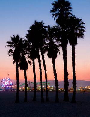 This an image of the Santa Monica Pier with silhouettes of palm trees taken just after sunset.