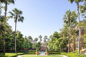 Apartment Photos &amp; Videos Cherry Orchard