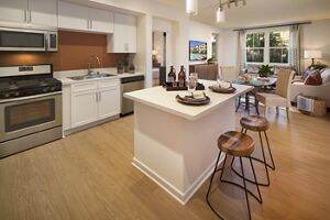 Apartment Photos & Videos Monticello