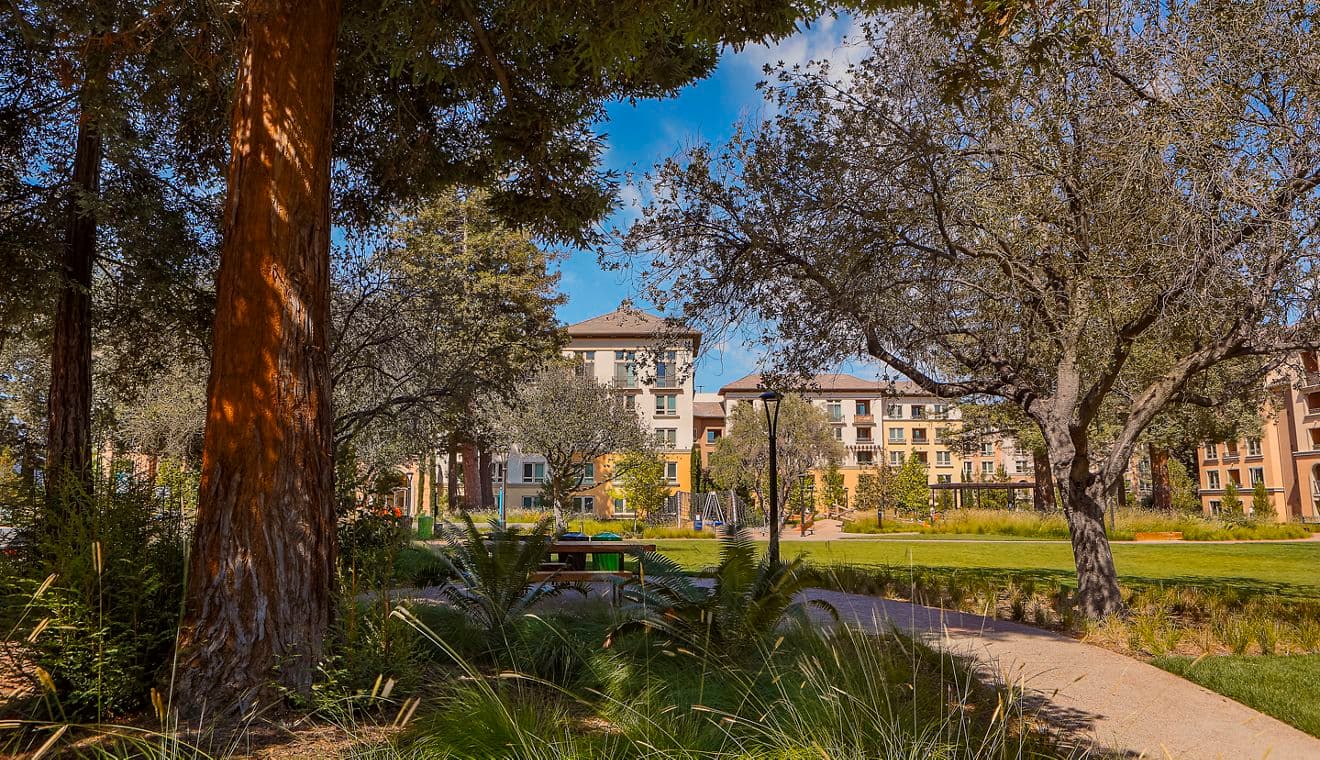 Exterior view of park at Santa Clara Square Apartment Homes in Santa Clara, CA.