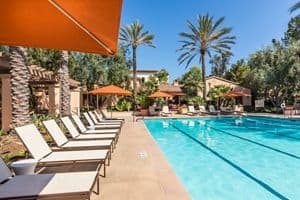 Apartment Photos & Videos Anacapa