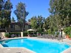 Pool view at Cedar Creek Apartment Homes in Irvine, CA.