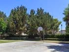 Exterior view of basketball court at Las Palmas Apartment Homes in Irvine, CA.