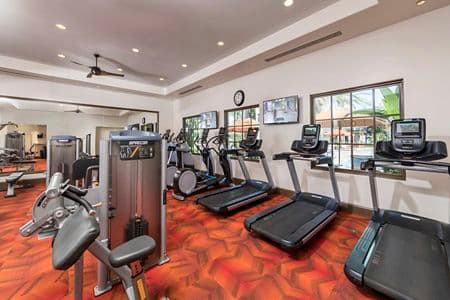 Interior view of fitness center at Mirasol Apartment Homes in Stonegate, Irvine, CA.