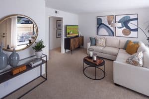 Apartment Photos & Videos Northwood