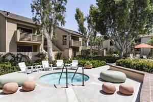 Apartment Photos & Videos Northwood