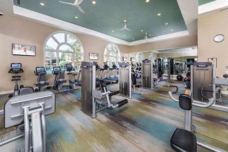 Interior view of the fitness center at Palmeras Apartment Home in Irvine, CA.