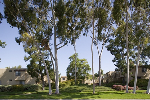 Exterior view of Parkwood Apartment Homes in Irvine, CA.