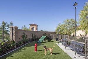 Portola Court Apartments For Rent in Irvine CA