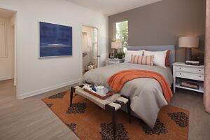 Portola Court Apartments For Rent in Irvine CA