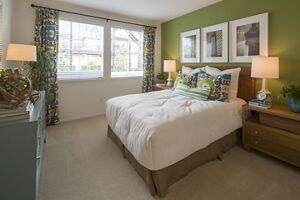 Apartment Photos & Videos Solana Apartments