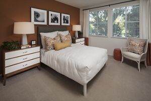 Apartment Photos & Videos Solana Apartments