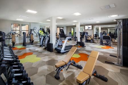 Interior view of fitness center at Serena at The Village at Irvine Spectrum Apartment Homes in Irvine, CA.
