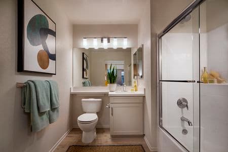 Interior view of Bathroom at Turtle Rock Canyon Apartment Homes in Irvine, CA.