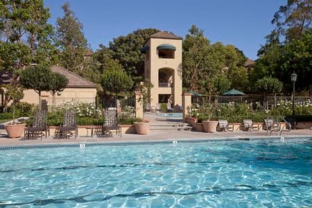Exterior view of pool at Turtle Rock Canyon Apartment Homes in Irvine, CA.