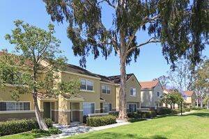 Apartment Photos & Videos Harvard & Cornell Court