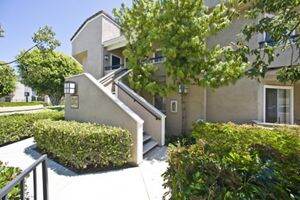 Apartment Photos & Videos Harvard & Cornell Court