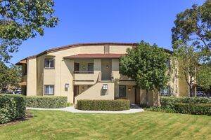 Roommate Classified Postings Uci Ambrose Apartments