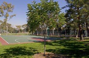 Apartment Photos Videos Harvard Cornell Court