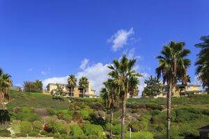 Mission Viejo Apartments Irvine Company Apartments