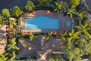 Apartment Photos & Videos Bordeaux