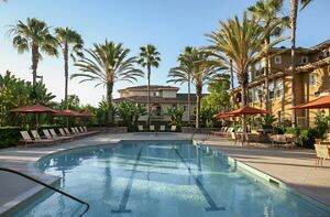 Apartment Photos & Videos Newport Bluffs