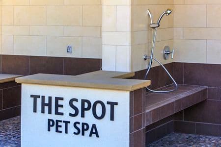 The Spot pet spa at Amalfi Apartment Homes in Tustin, CA.