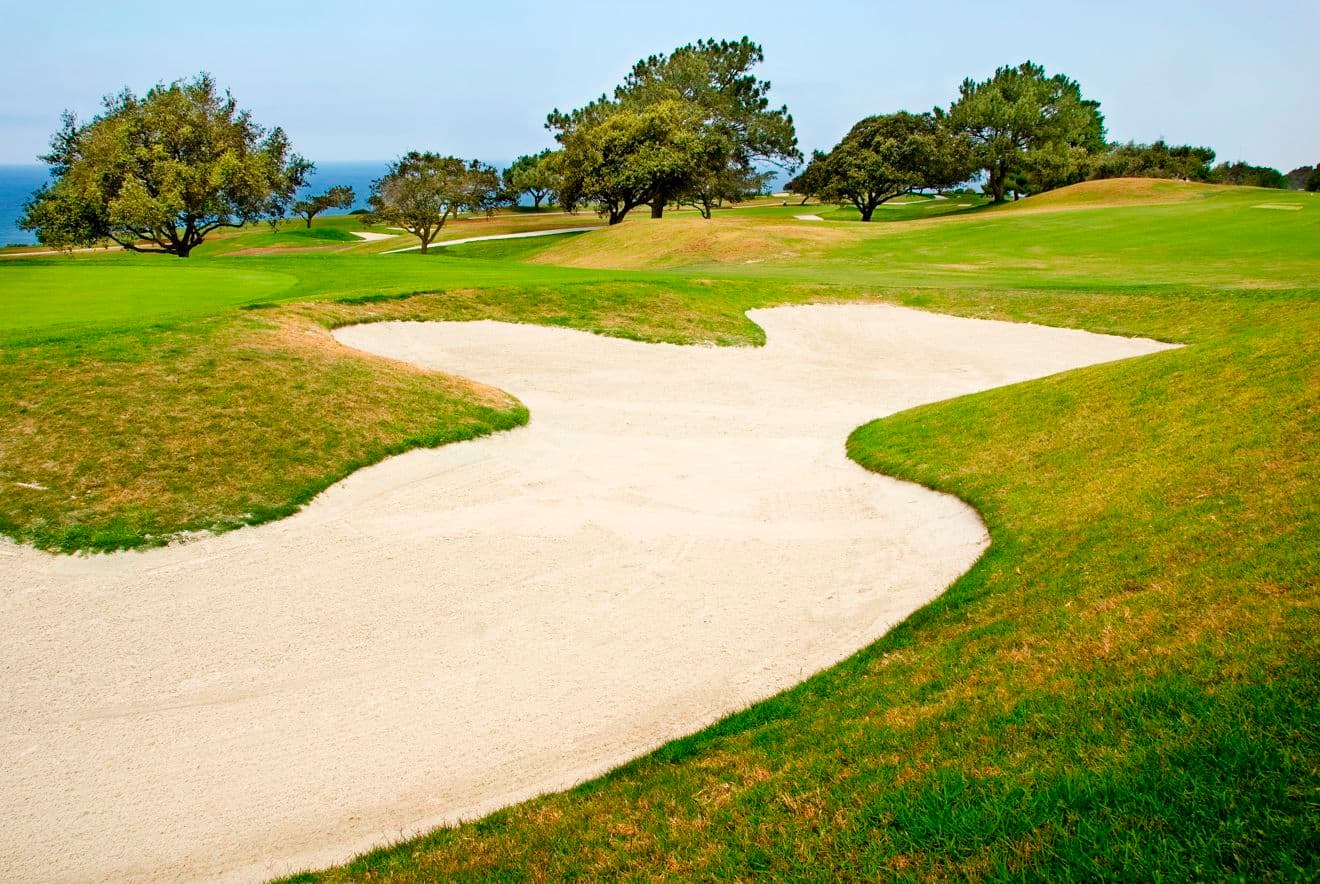 Image of Golf Course in Torrey Pines in La Jolla, CA.