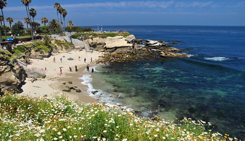 Image of a beach in La Jolla, California. 