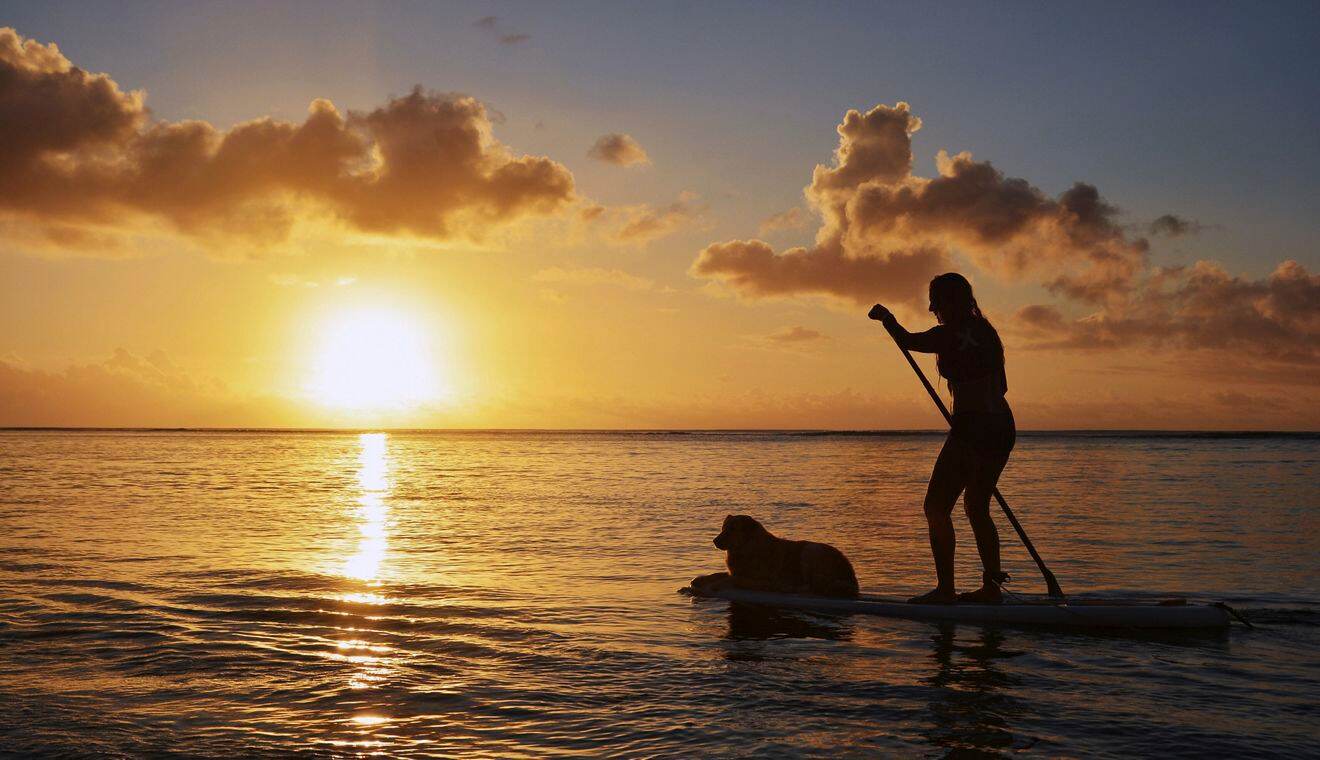 Image of beach sunset