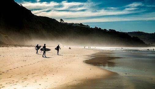 Surfers on beach in La jolla