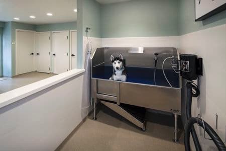 Interior view of pet wash area at Westwood Apartment Homes in San Diego, CA.