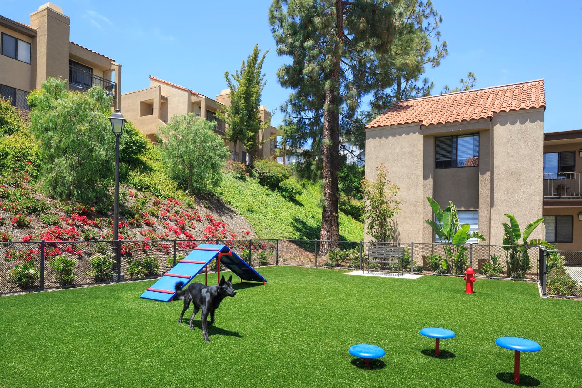 Exterior view of dog park at Westwood Apartment Homes in San Diego, CA.