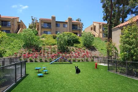 Exterior view of dog park at Westwood Apartment Homes in San Diego, CA.