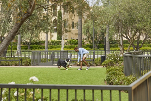 Exterior view of man with dog at dog park at Los Olivos Apartment Homes in Irvine, CA.