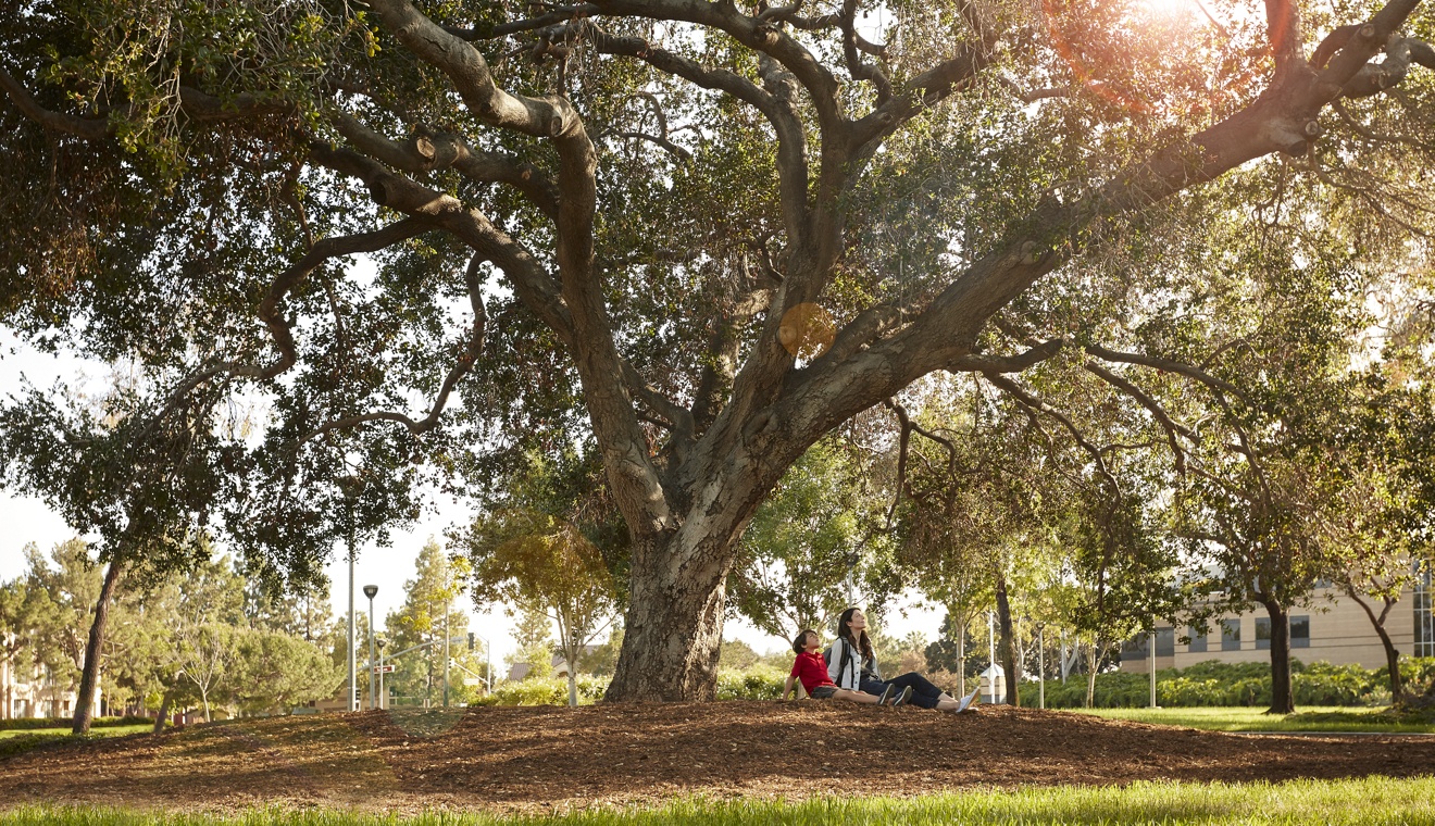 Exterior view of people under a tree at Bill Barber Park in Irvine, CA.