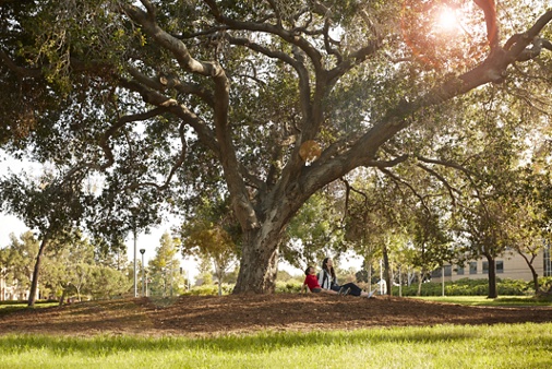 Exterior view of people under a tree at Bill Barber Park in Irvine, CA.