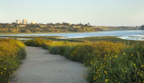 Exterior daytime view of Newport Back Bay in Newport Beach, CA.