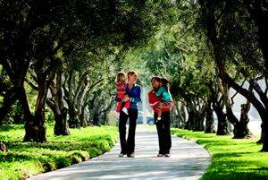 Apartments in Irvine For Rent - Irvine Company Apartments