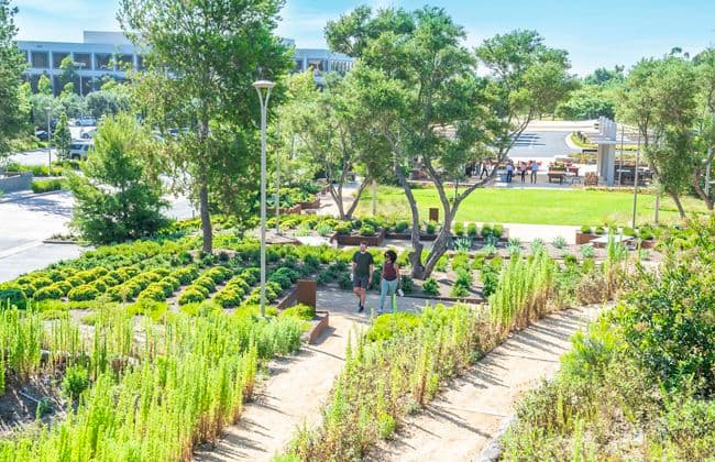 Irvine Company Apartment Communities Corporate