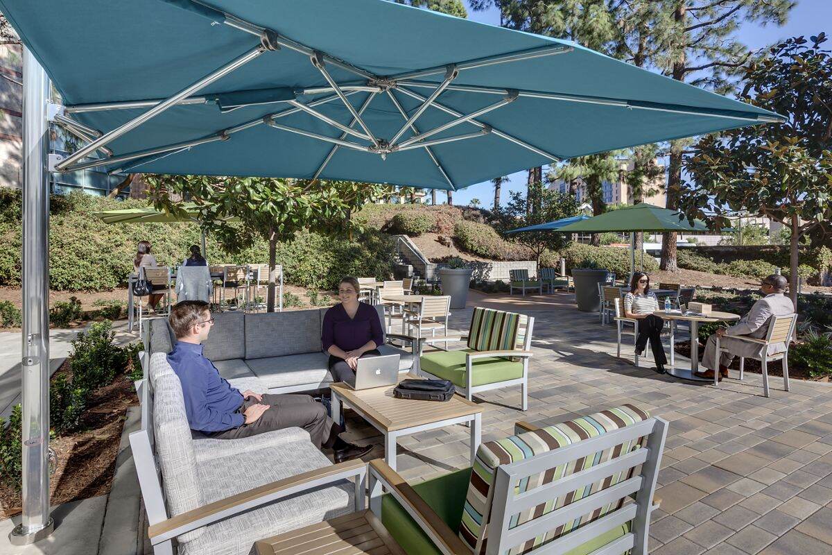 Elevate the Workday