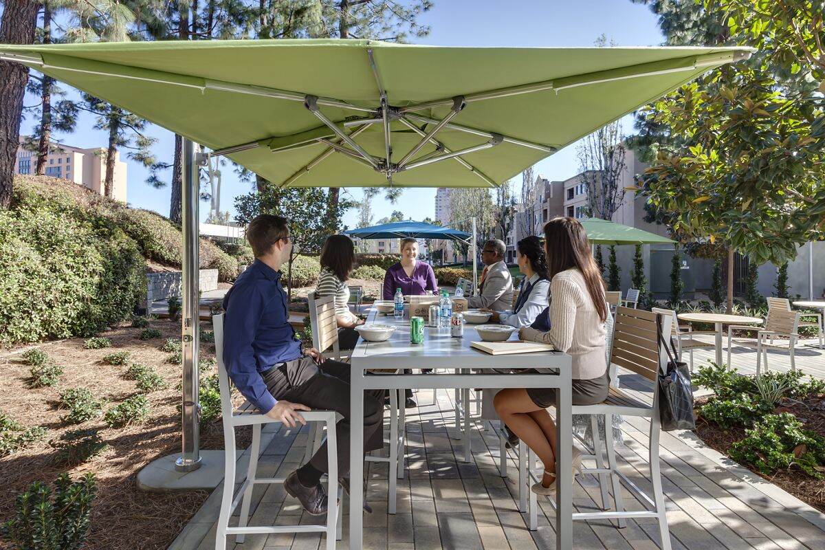 Elevate the Workday