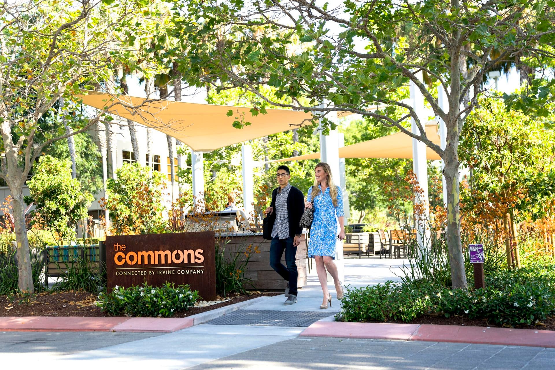 The commons -  - McCarthy Center - 400-940 N. McCarthy Blvd.  Milpitas, CA 95035
