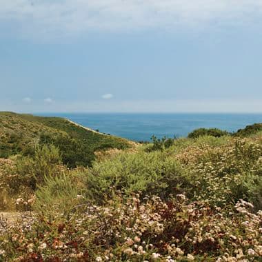 Images of Crystal Cove from Southern California Coastal Mountains to the Sea book. Stoecklein 2011.